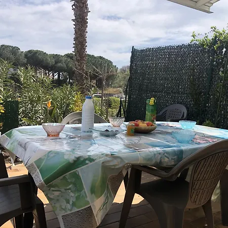 Alcove 4 Pers Rdc Avec Parking Prive Et Animaux Admis A Saint-cyprien - Fr-1-793-24 *