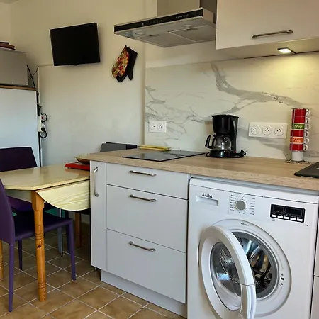 Alcove 4 Pers Rdc Avec Parking Prive Et Animaux Admis A Saint-cyprien - Fr-1-793-24 Apartmán
