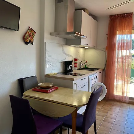 Alcove 4 Pers Rdc Avec Parking Prive Et Animaux Admis A Saint-cyprien - Fr-1-793-24 * Saint-Cyprien (Pyrenees-Orientales)