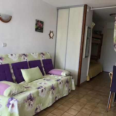 Alcove 4 Pers Rdc Avec Parking Prive Et Animaux Admis A Saint-cyprien - Fr-1-793-24 * Saint-Cyprien (Pyrenees-Orientales)