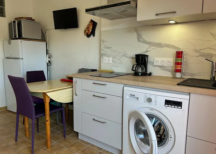 Alcove 4 Pers Rdc Avec Parking Prive Et Animaux Admis A Saint-cyprien - Fr-1-793-24 Daire