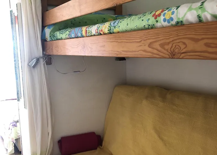 Alcove 4 Pers Rdc Avec Parking Prive Et Animaux Admis A Saint-cyprien - Fr-1-793-24 *