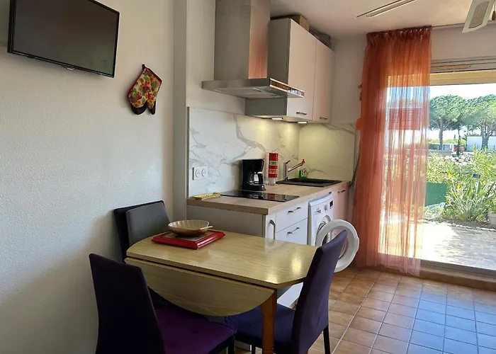 Alcove 4 Pers Rdc Avec Parking Prive Et Animaux Admis A Saint-cyprien - Fr-1-793-24 * Saint-Cyprien (Pyrenees-Orientales)