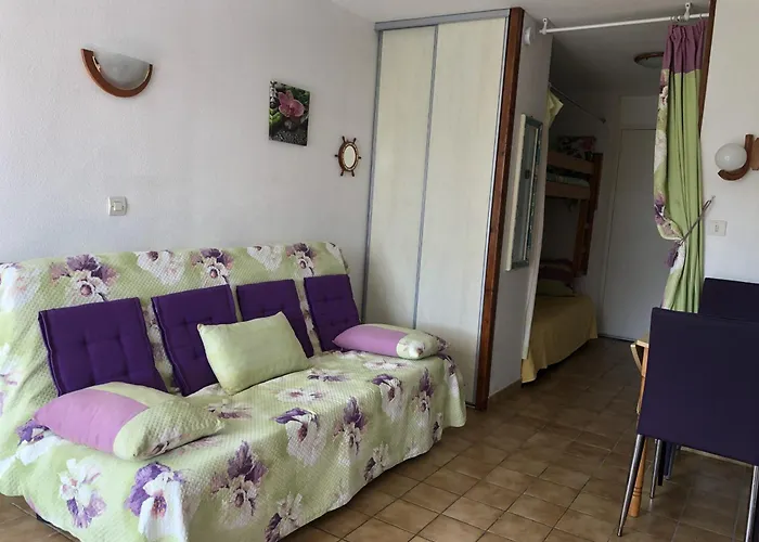 Alcove 4 Pers Rdc Avec Parking Prive Et Animaux Admis A Saint-cyprien - Fr-1-793-24 * Saint-Cyprien (Pyrenees-Orientales)