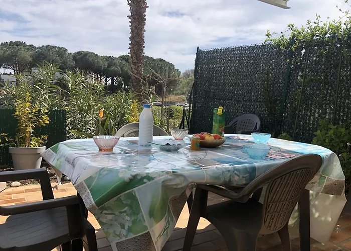 Alcove 4 Pers Rdc Avec Parking Prive Et Animaux Admis A Saint-cyprien - Fr-1-793-24 *